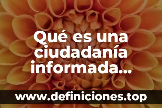 Que es un resumen critica comparativa 4 Qué es una ciudadanía informada crítica y deliberativa