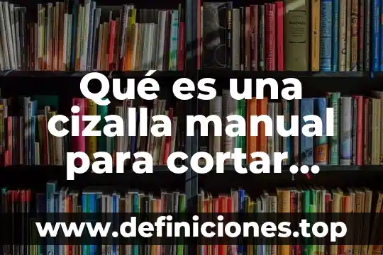 Que es cortar copiar y pegar en excel 3 Qué es una cizalla manual para cortar lámina