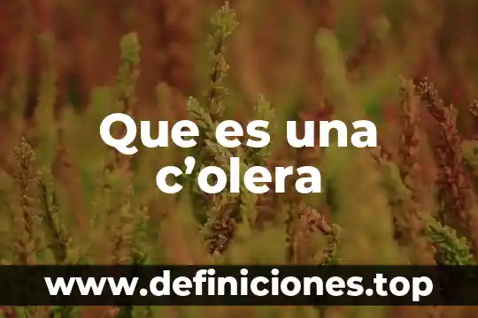 Que es una c’olera