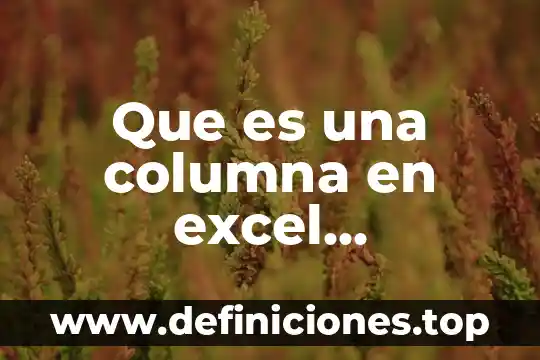 Qué es el universo definición para niños 3 Que es una columna en excel definicion