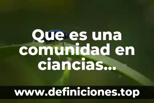 Qué es el estereotipos sociales 4 Que es una comunidad en ciancias sociales