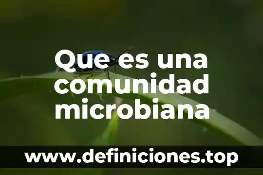 Que es una comunidad cosmopolita 5 Que es una comunidad microbiana