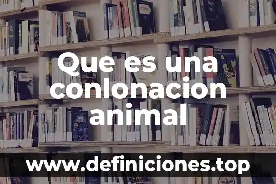 Que es maltrato doméstico animal 8 Que es una conlonacion animal