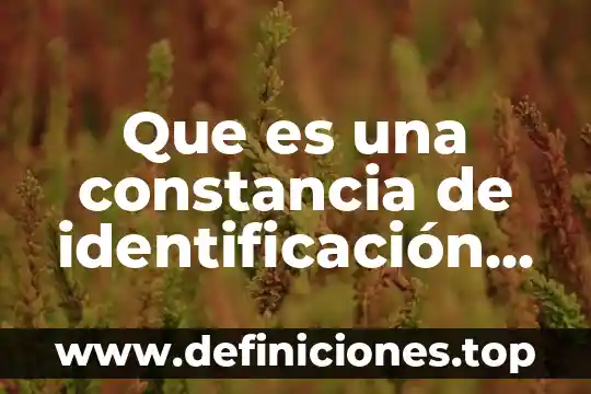 Qué es la constancia de apertura fiscal 4 Que es una constancia de identificación fiscal