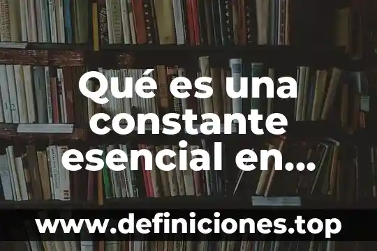Qué es término en matemáticas 7 Qué es una constante esencial en matemáticas