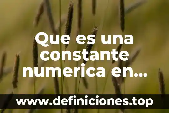 Qué es una constante absoluta y numérica 4 Que es una constante numerica en excel