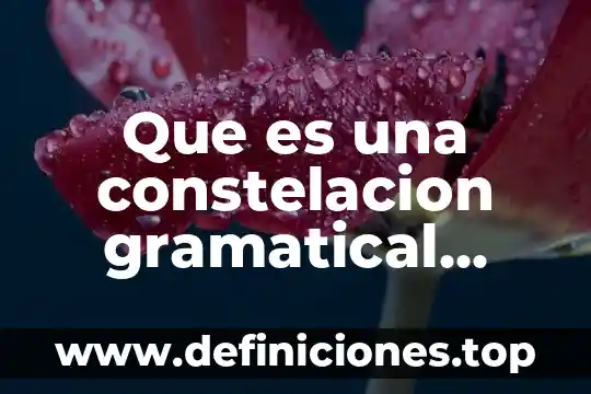 Que es un articulo elemento gramatical 3 Que es una constelacion gramatical ejemplo