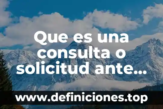 Que es una consulta o solicitud ante la autoridad fiscal