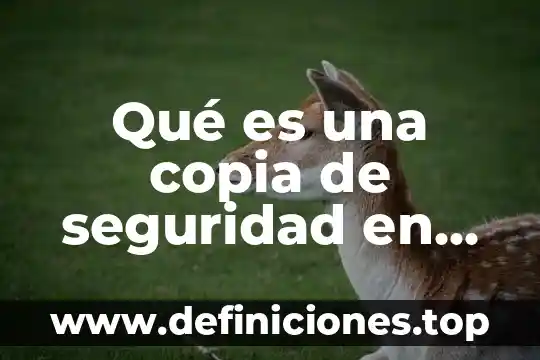 Que es y como se logra la seguridad 6 Qué es una copia de seguridad en línea