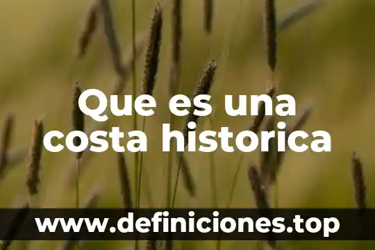 Qué es boja en la costa 6 Que es una costa historica