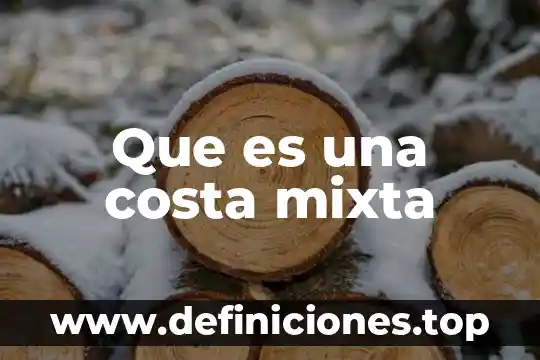 Qué es boja en la costa 4 Que es una costa mixta