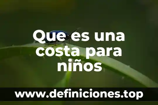 Qué es boja en la costa 5 Que es una costa para niños