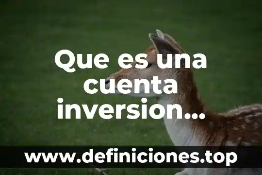 Que es una cuenta inversion perfiles