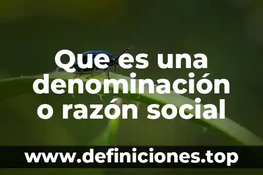 Que es la razon en filosofia segun educacion 8 Que es una denominación o razón social