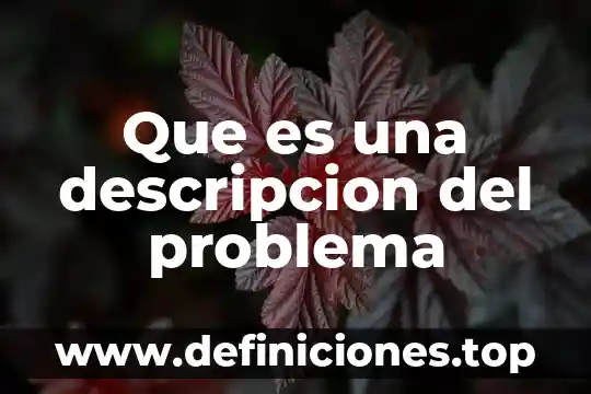 Que es una descripcion del problema