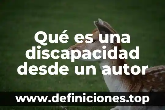 Que es el autor con dominio del hecho 3 Qué es una discapacidad desde un autor