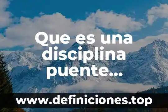 Que es una disciplina puente definicion
