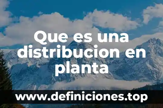 Que es una distribucion en planta