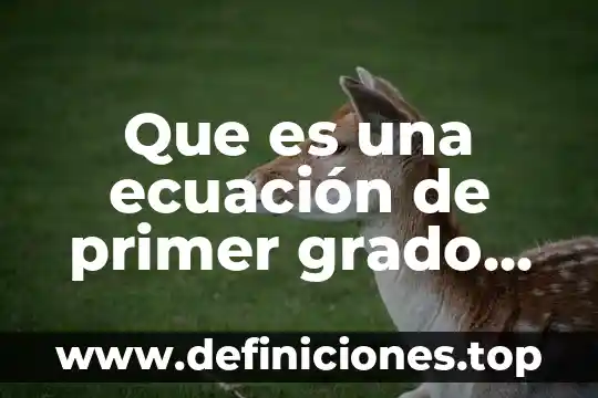 Que es una ecuación de primer grado valor de x 4 Que es una ecuación de primer grado ejemplos resueltos