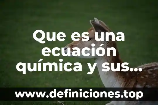 Que es una ecuación química y sus tipos
