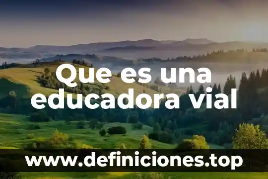 Que es seguridad vial en colombia 6 Que es una educadora vial