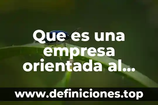 Que es una empresa orientada al mercado
