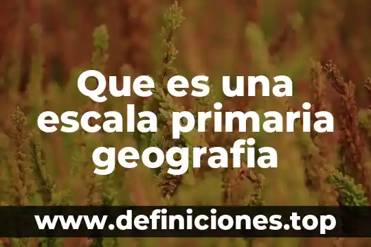 Que es un cartel para exposicionpara niños de primaria 4 Que es una escala primaria geografia