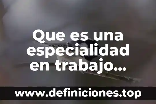 Que es una especialidad en trabajo social