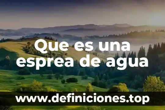 Que es una esprea de agua