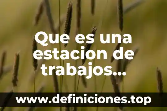 Qué es lo que hacemos en cada estación del año 8 Que es una estacion de trabajos servidos