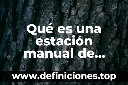 Qué es lo que hacemos en cada estación del año 5 Qué es una estación manual de doble acción