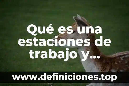 Plataformas libres de e-learning que es 3 Qué es una estaciones de trabajo y plataformas