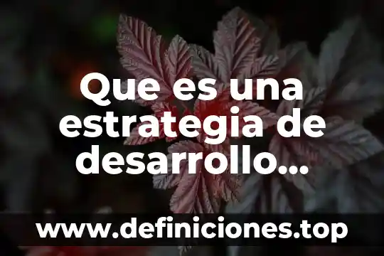 Que es el desarrollo sustentable en nayarit 3 Que es una estrategia de desarrollo economico