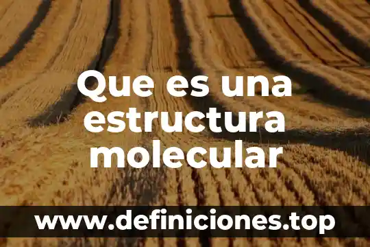Qué es la estructura de la norma QS 9000 3 Que es una estructura molecular
