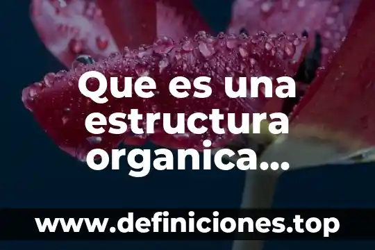 Que es una presentacion formal en la tecnologia 3 Que es una estructura organica presentacion ppt