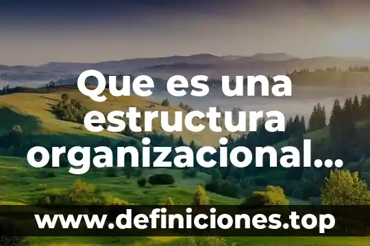 Que es el diseño organizacional tradicional 4 Que es una estructura organizacional en cocina