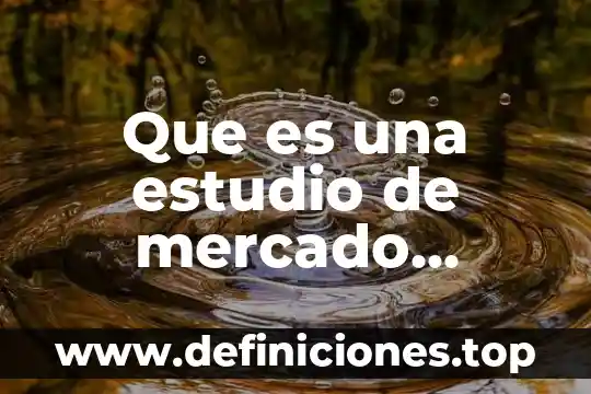 Que es la segmentar mercado 6 Que es una estudio de mercado ejemplo