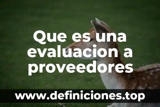 Que es una evaluacion a proveedores
