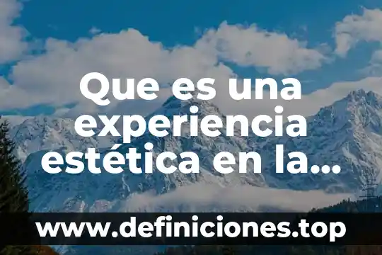 Que es estetica y filosofia 8 Que es una experiencia estética en la literatura