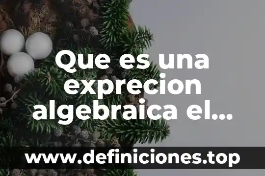 Qué es un área de apoyo 3 Que es una exprecion algebraica el area plataforma