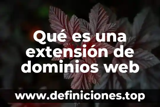 Que es una extension en una pagina web 5 Qué es una extensión de dominios web