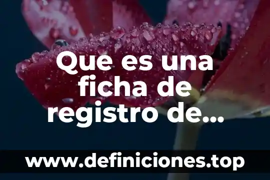 Para qué es el código post IBM 6 Que es una ficha de registro de contenido