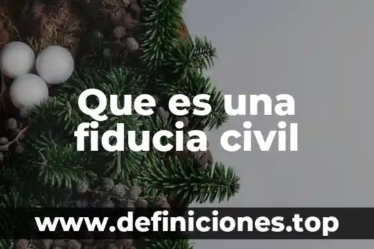 Que es una fiducia civil