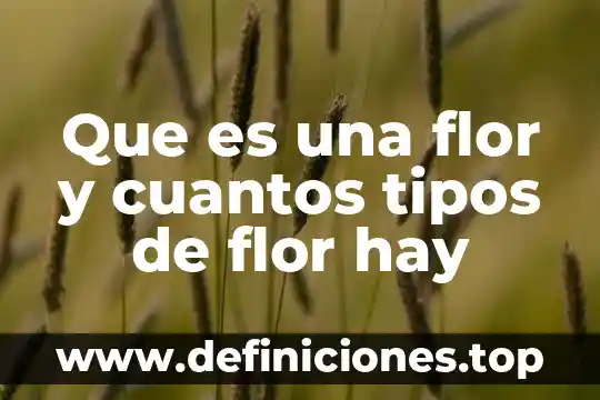 Que es una flor y cuantos tipos de flor hay