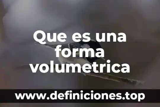 Qué es un apunte informal 8 Que es una forma volumetrica