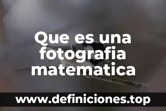 Que es la psicologia gramatica matematica 8 Que es una fotografia matematica