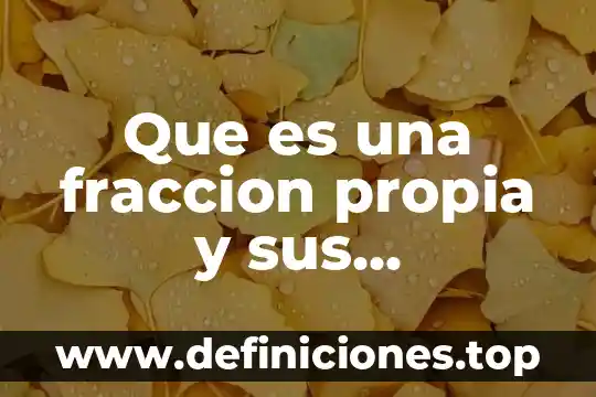 Que es significado de la propia vida 3 Que es una fraccion propia y sus caracteristicas