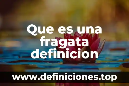 Que es una fragata definicion