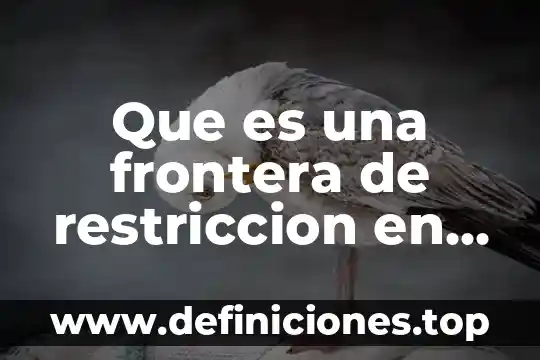 Que es una frontera artificial de mexico y usa 4 Que es una frontera de restriccion en programacion lineal