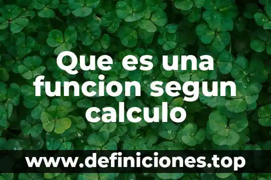 Que es una hoja de calculo de uso comun 6 Que es una funcion segun calculo